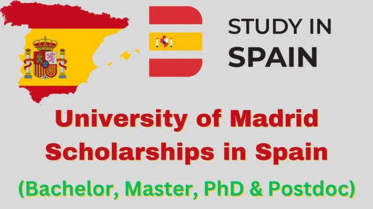 Scholarships in Spain